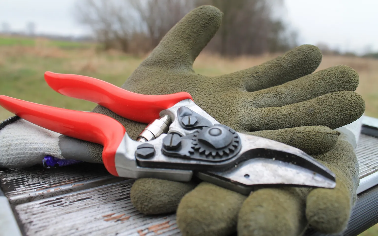 Handschuhe und Schere